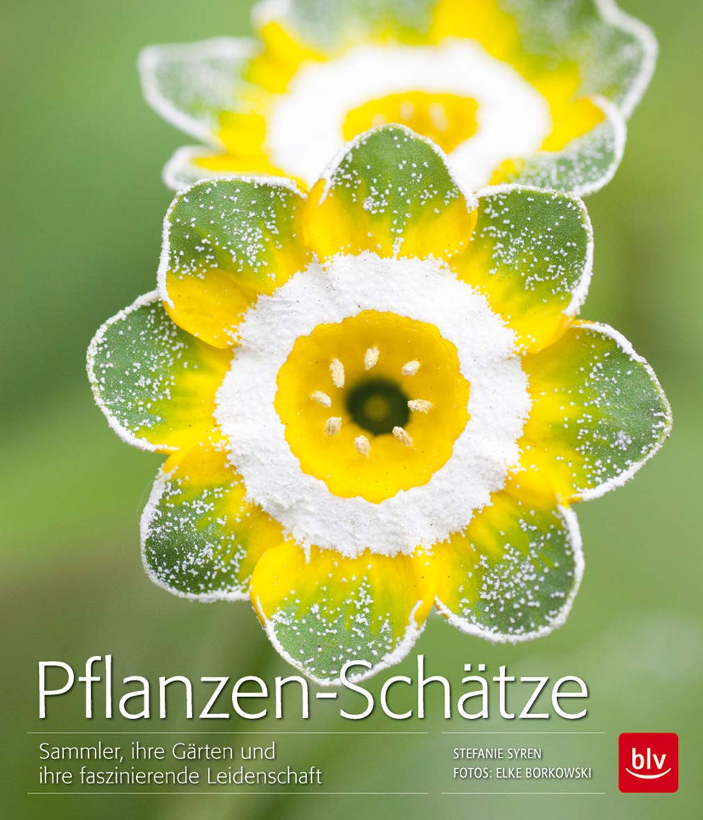 Product Image: Pflanzen-Schätze