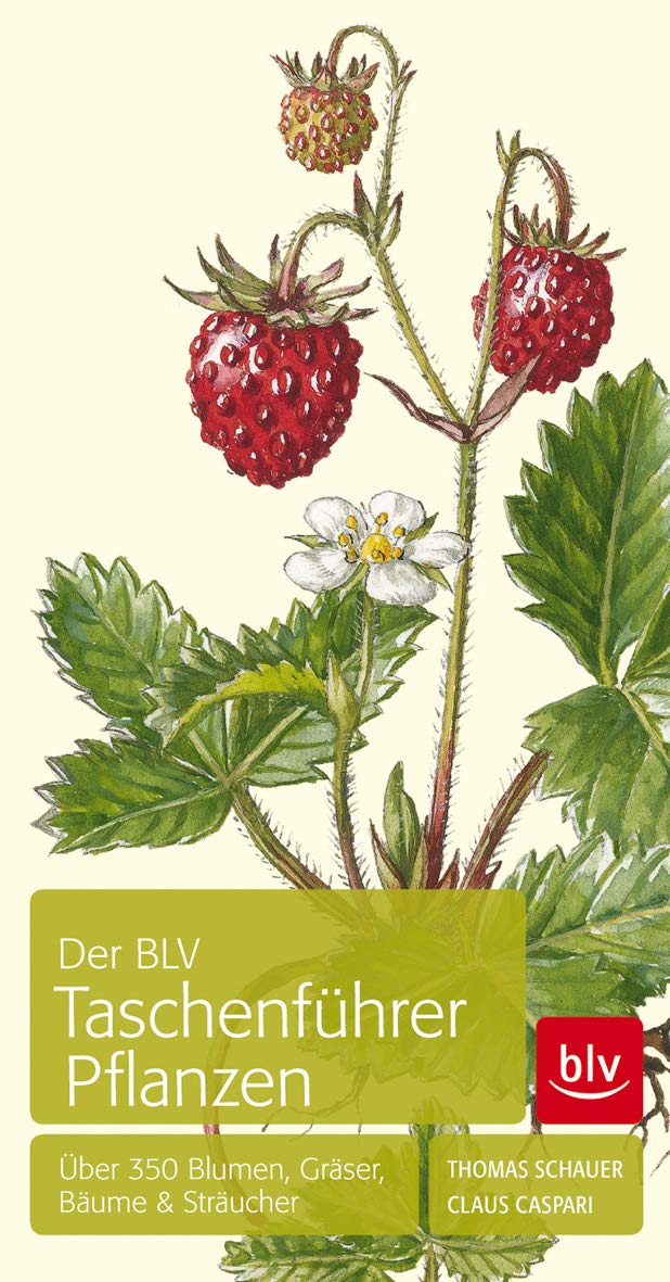 Der BLV Taschenführer Pflanzen: Über 350 Blumen, Gräser, Bäume & Sträucher (BLV Bäume & Pflanzen) Garden & Plants