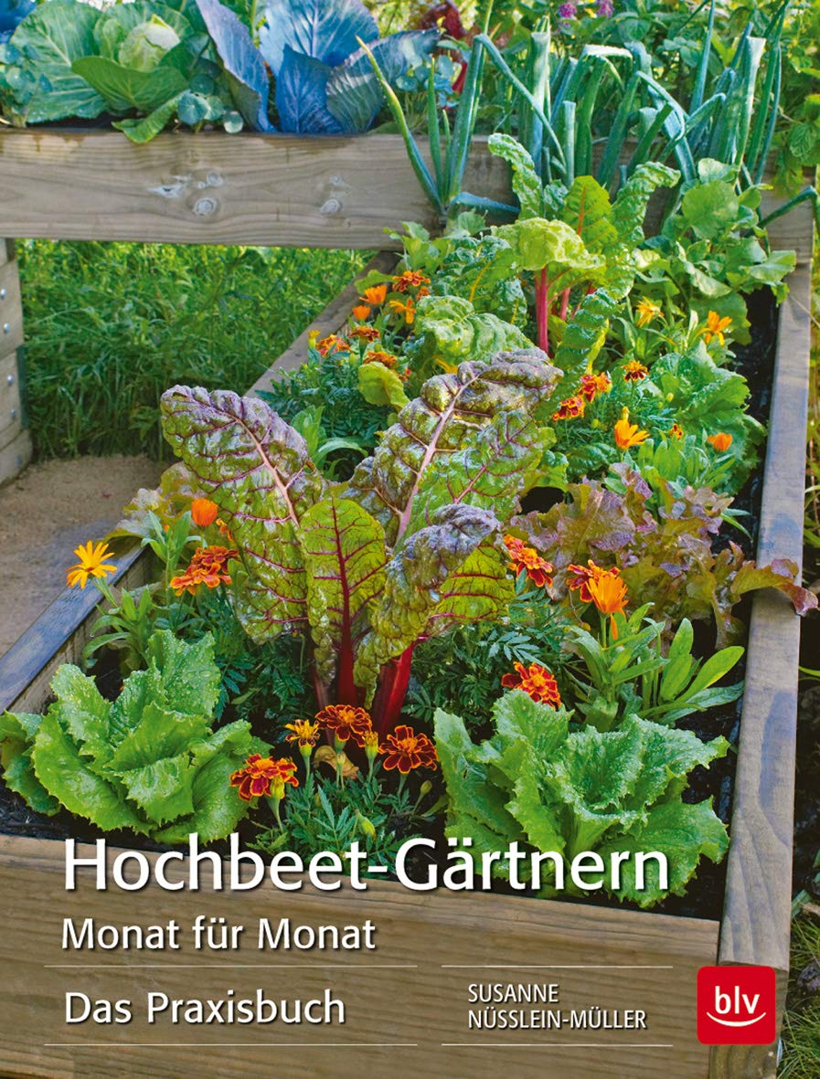 Hochbeet-Gärtnern Monat für Monat: Das Praxisbuch (BLV Hochbeet & Gewächshaus) Garden & Plants