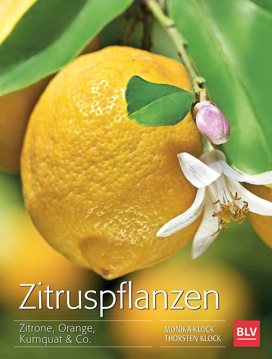 Zitruspflanzen Garden & Plants Books