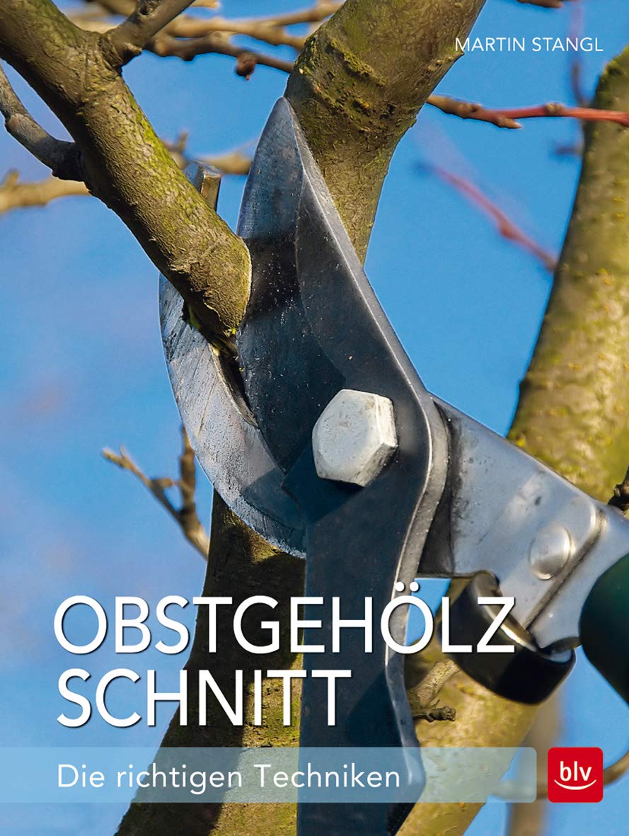 Obstgehölzschnitt: Die richtigen Techniken (BLV Gartenpraxis) Garden & Plants