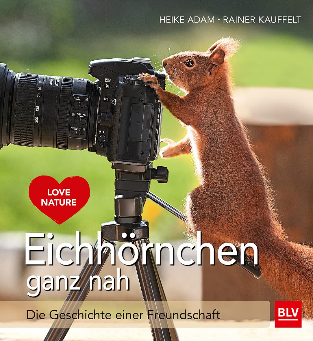 Eichhörnchen ganz nah Leisure, Home & Garden