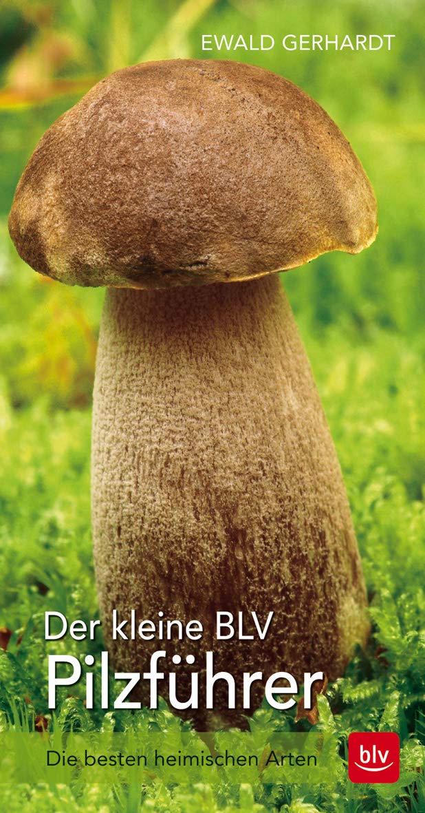 Der kleine BLV Pilzführer: Die besten heimischen Arten (BLV Pilze) Leisure, Home & Garden