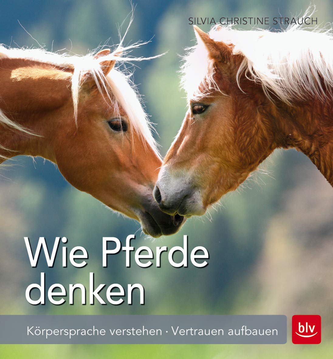 Wie Pferde denken Pets