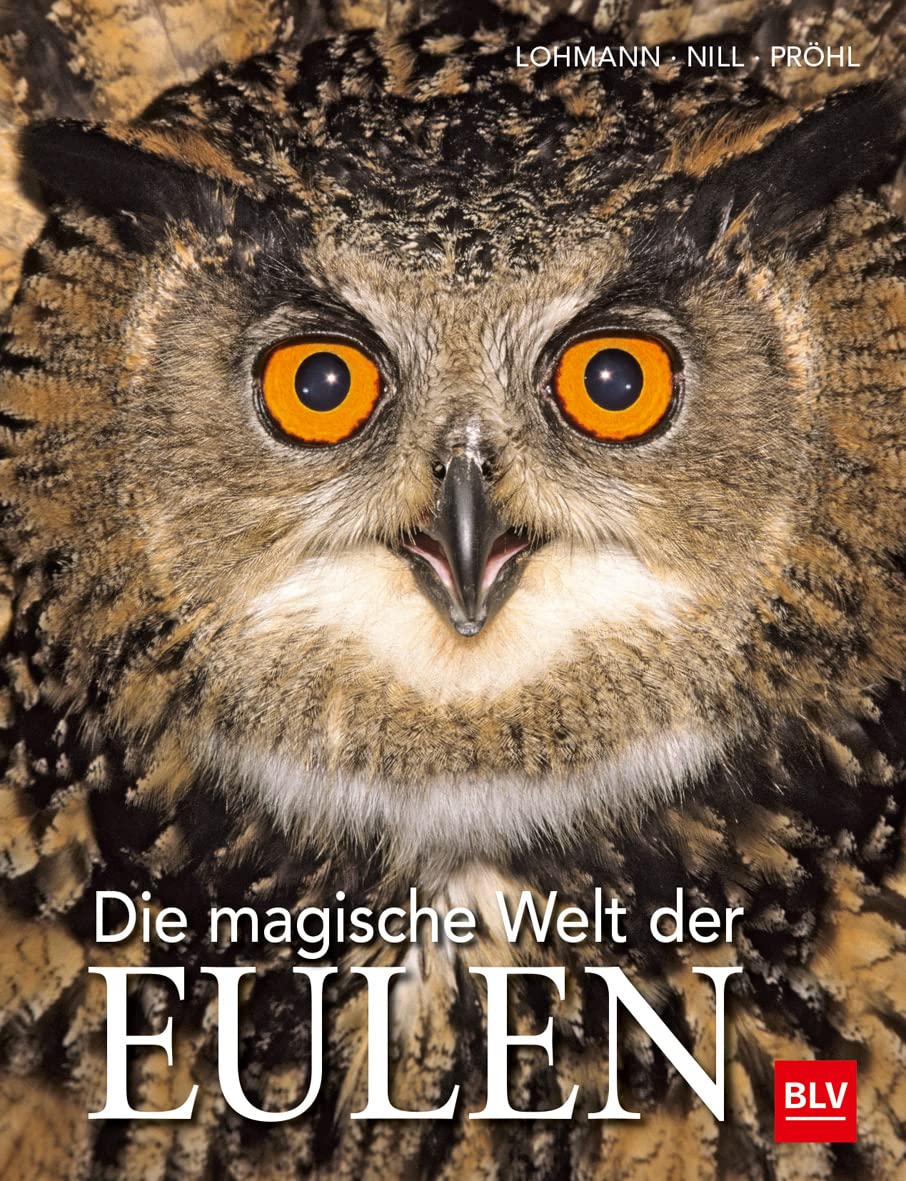 Die magische Welt der Eulen Film, Art & Culture