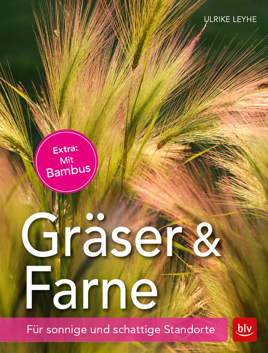 Product Image: Gräser und Farne