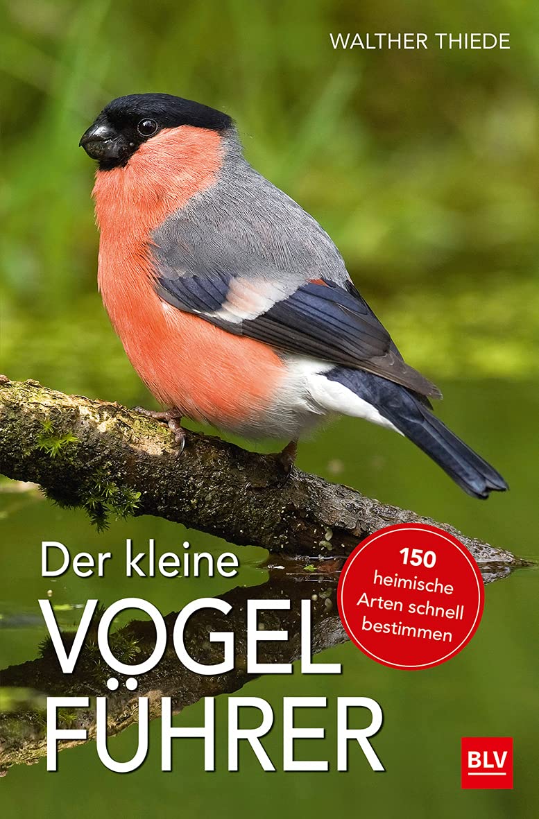 Der kleine Vogelführer: 150 heimische Arten schnell bestimmen (BLV Vögel) Leisure, Home & Garden