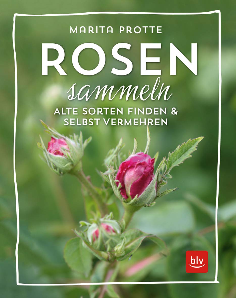 Rosen sammeln Garden & Plants Books