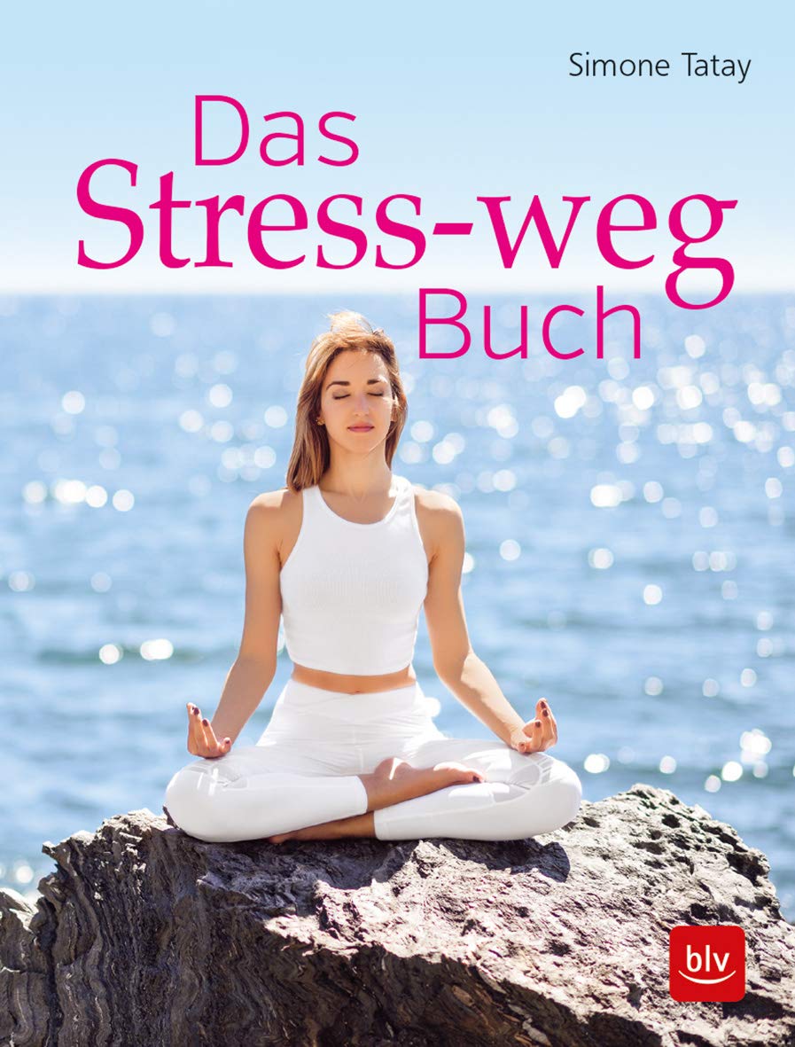 Das Stress-weg-Buch Business, Finance & Career Books
