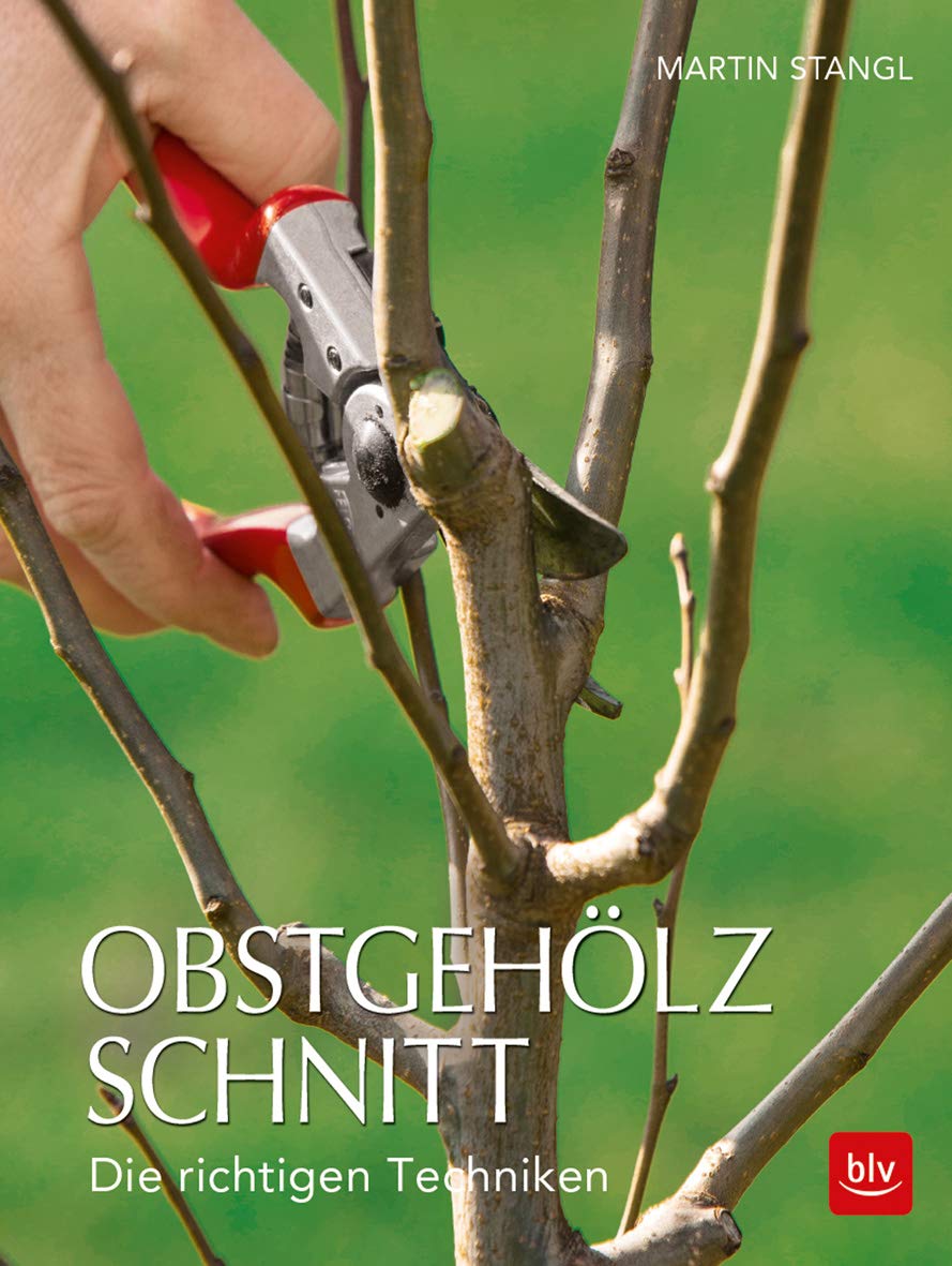 Obstgehölzschnitt Garden & Plants