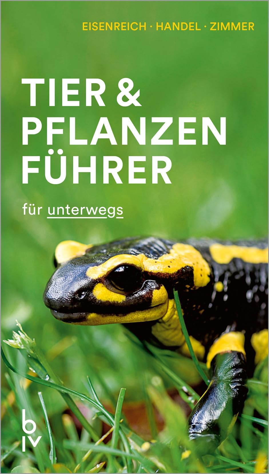 Der BLV Tier & Pflanzenführer Leisure, Home & Garden
