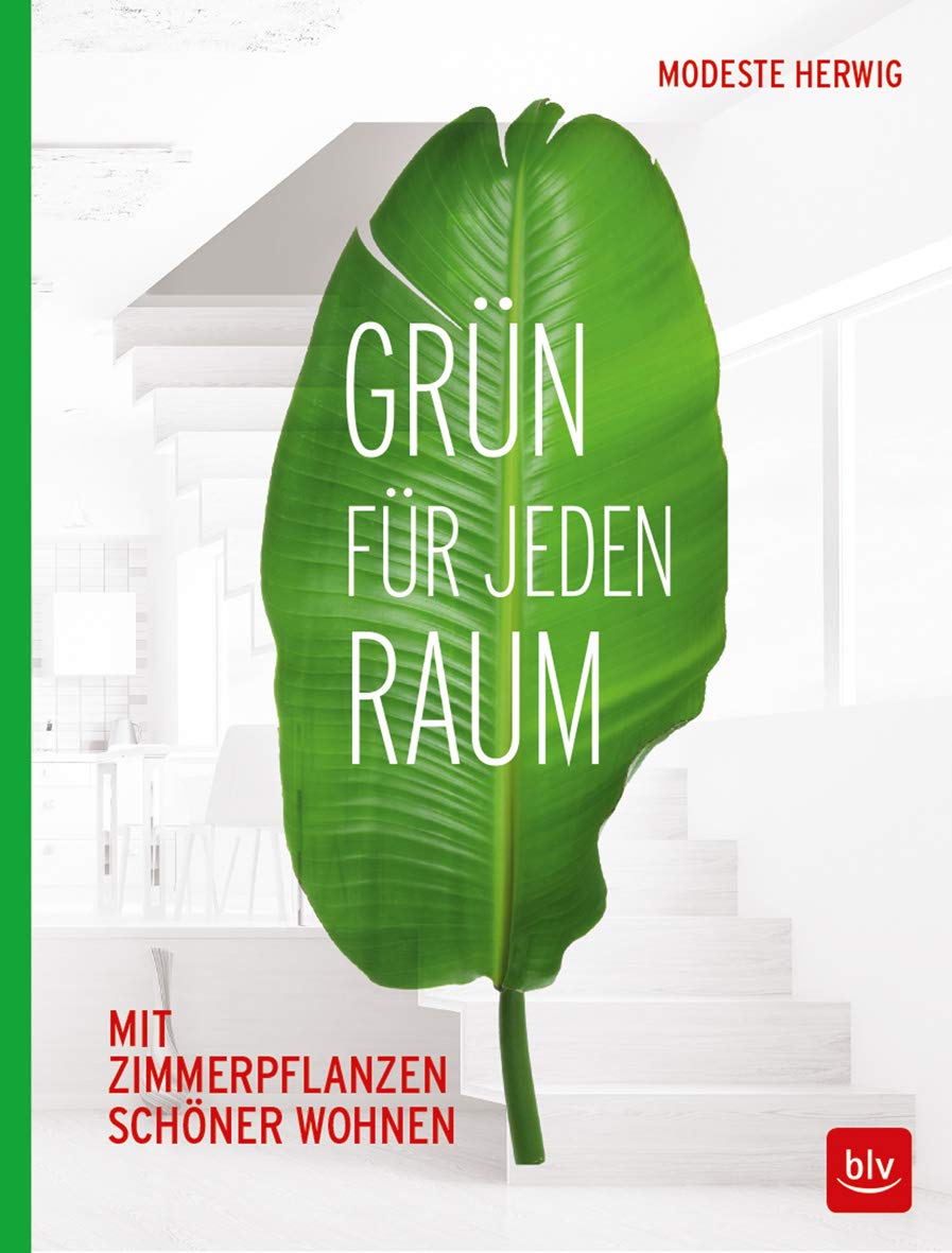 Grün für jeden Raum Garden & Plants