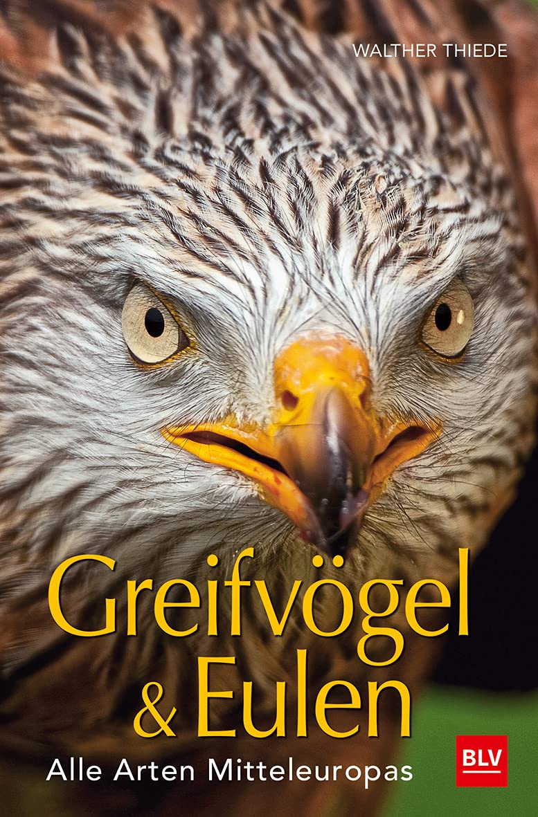 BLV Greifvögel & Eulen Leisure, Home & Garden Books