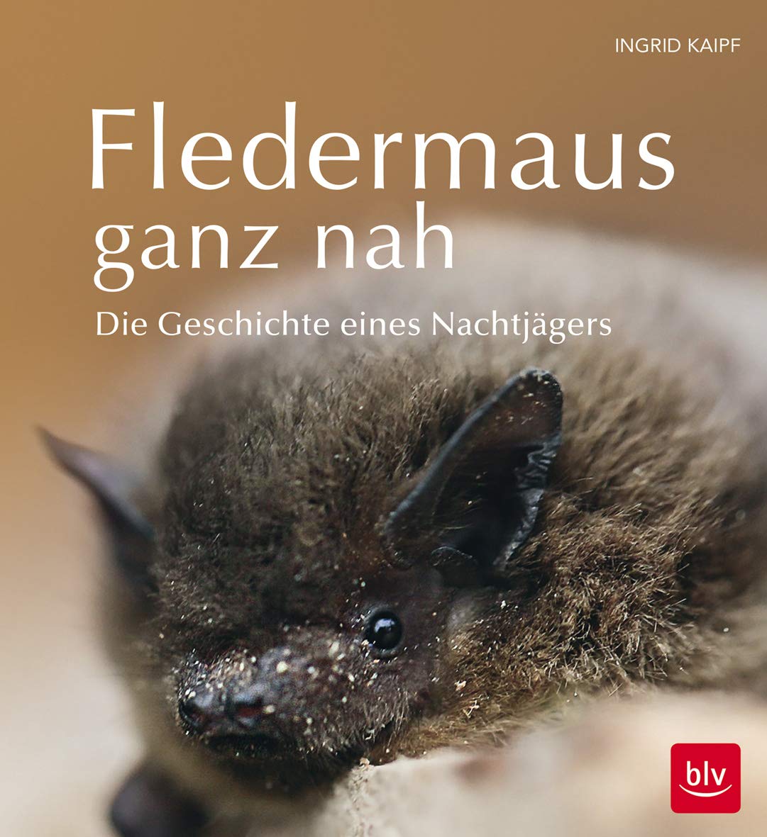 Fledermaus ganz nah Leisure, Home & Garden