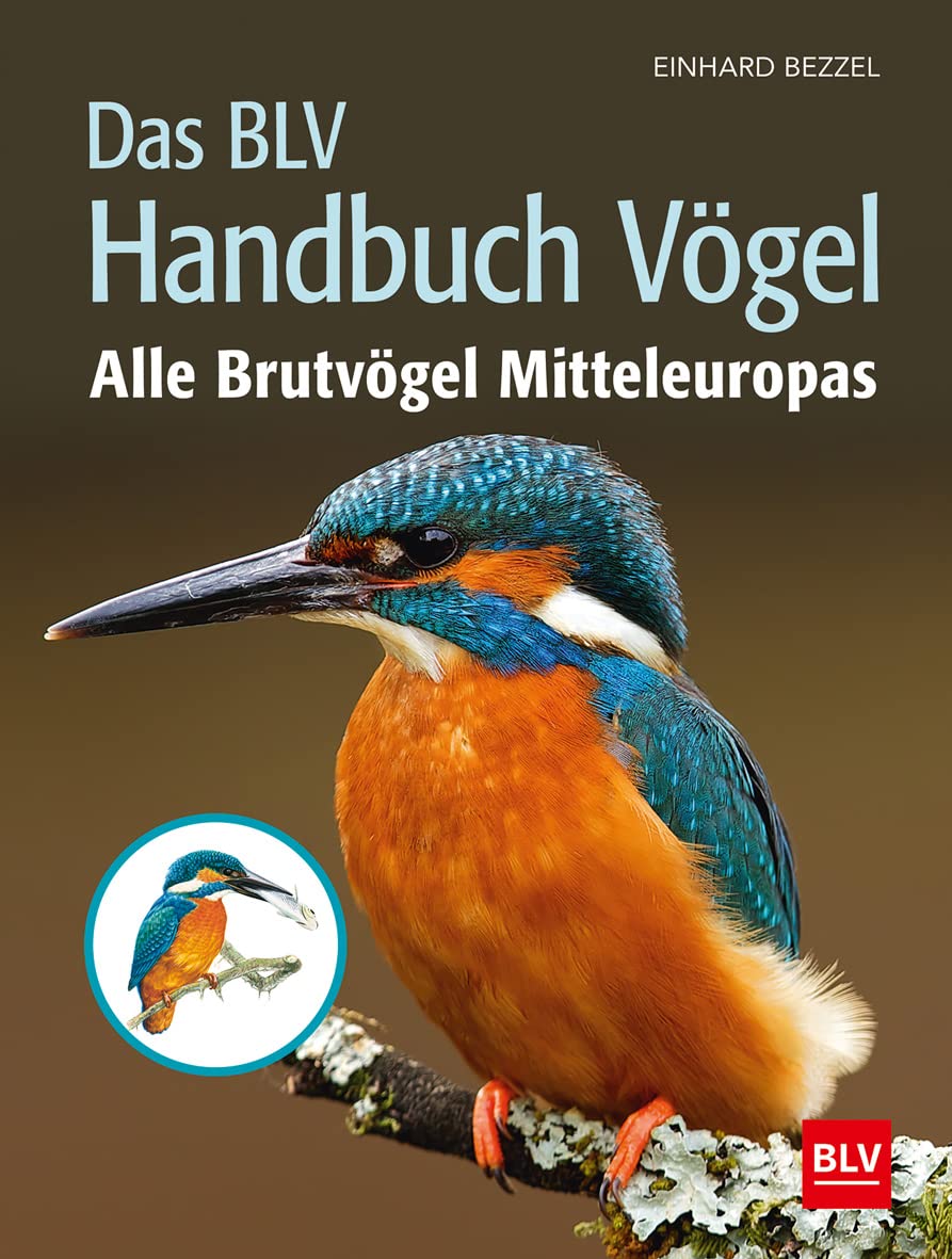 Das BLV Handbuch Vögel: Alle Brutvögel Mitteleuropas (BLV Vögel) Leisure, Home & Garden