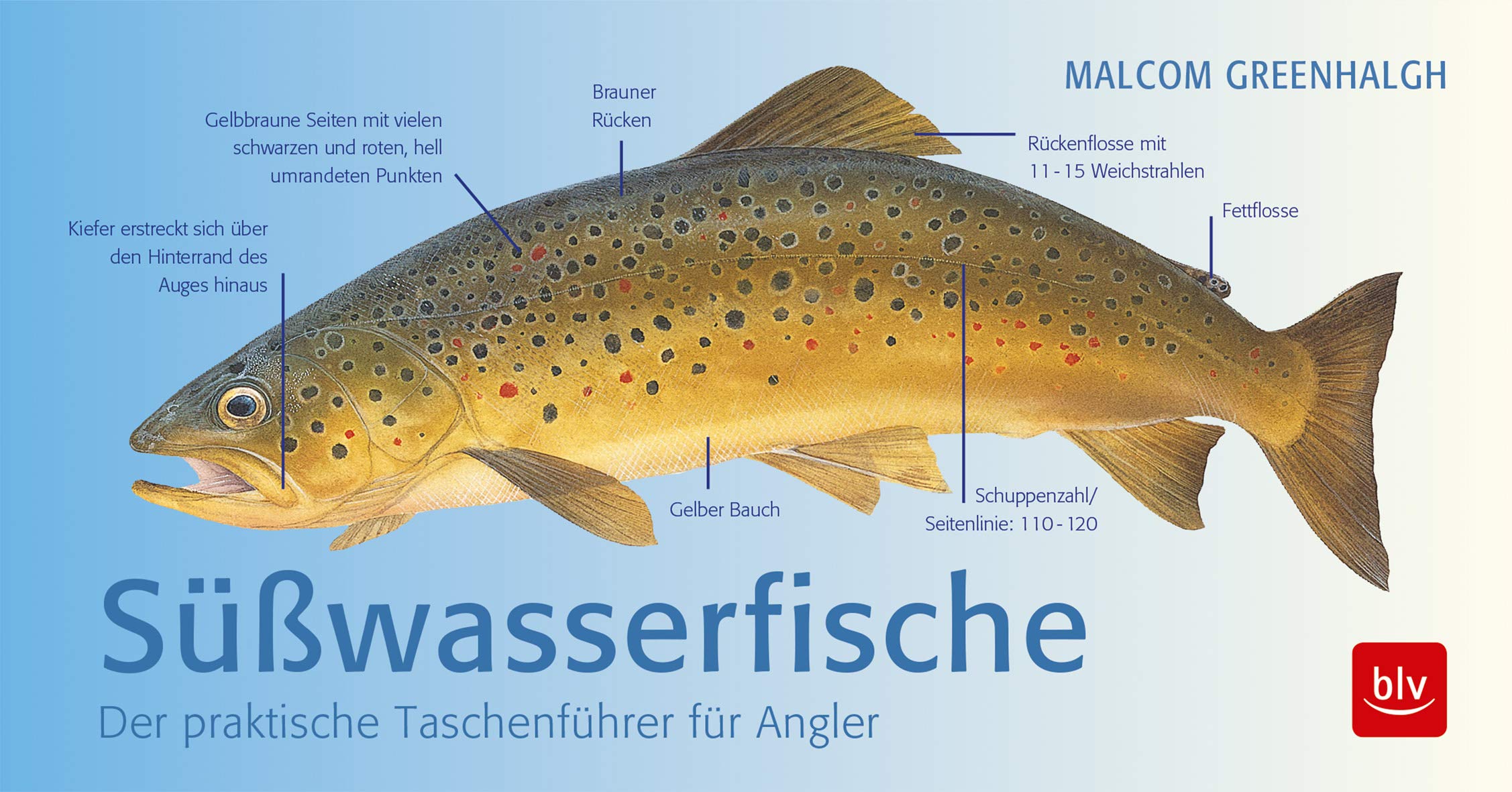 Süßwasserfische Medicine