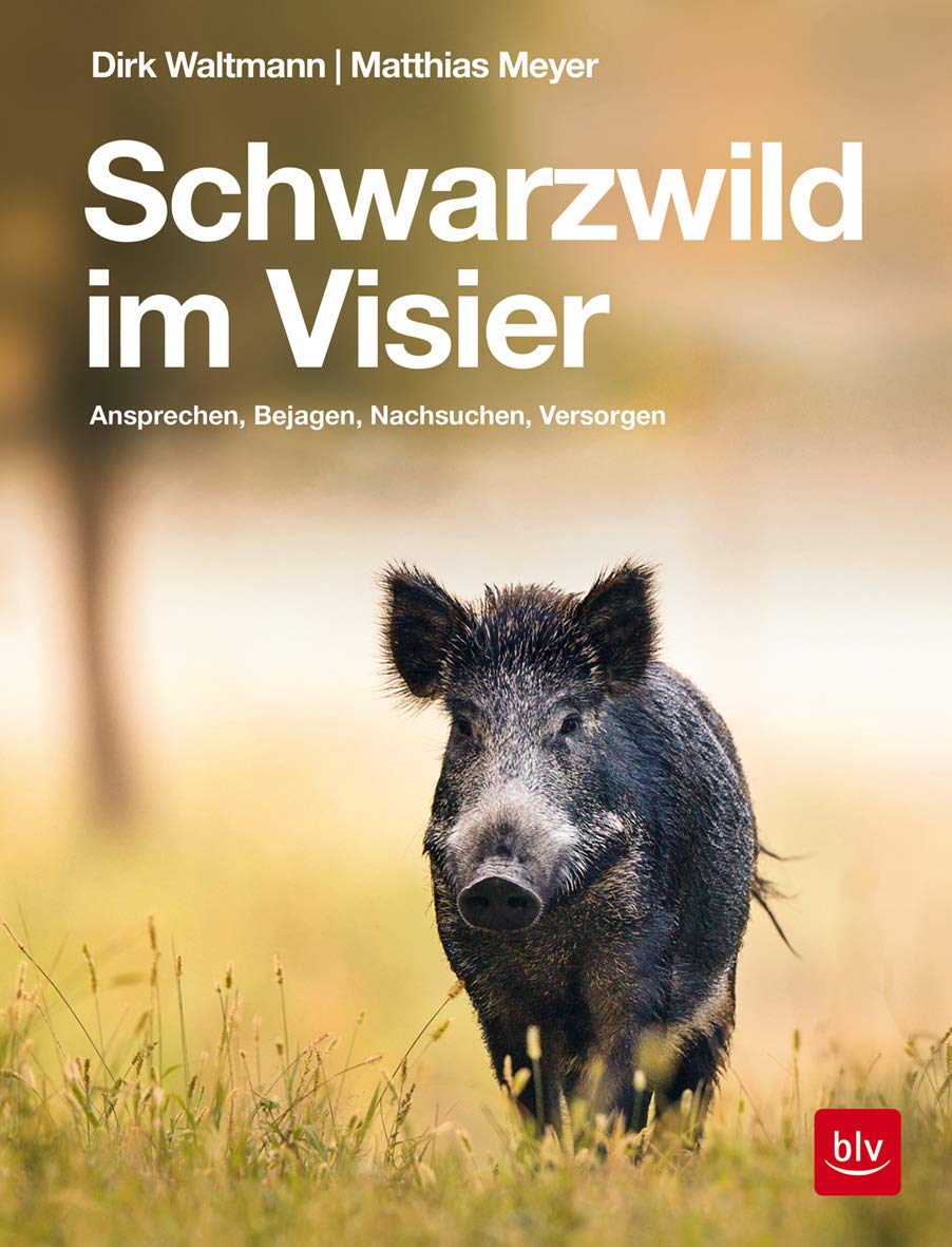 Product Image: Schwarzwild im Visier