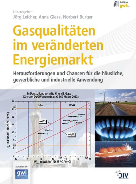 Gasqualitäten im veränderten Energiemarkt: Herausforderungen und Chancen für die häusliche, gewerbliche und industrielle Anwendung Business & Technology