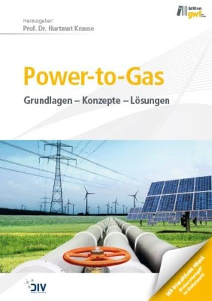 Power-to-Gas: Grundlagen - Konzepte - Lösungen (Edition gwf Gas + Energie) Business & Technology