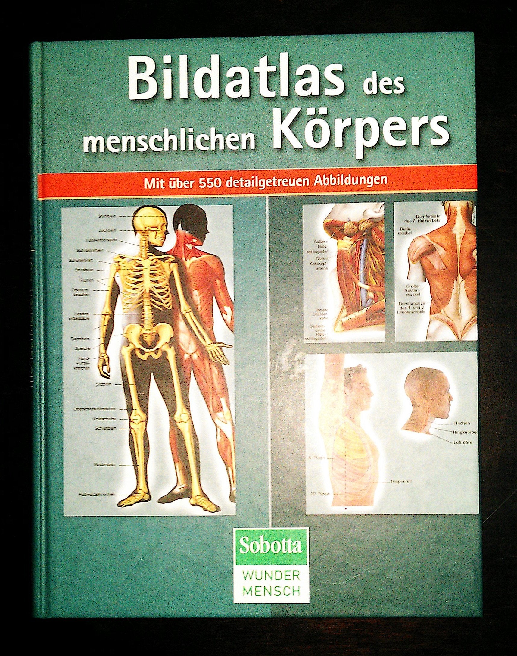 Product Image: Bildatlas des menschlichen Körpers