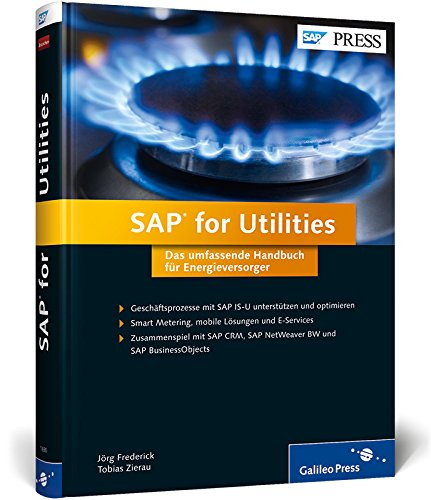 SAP for Utilities: Das umfassende Handbuch für Energieversorger Business, Finance & Career