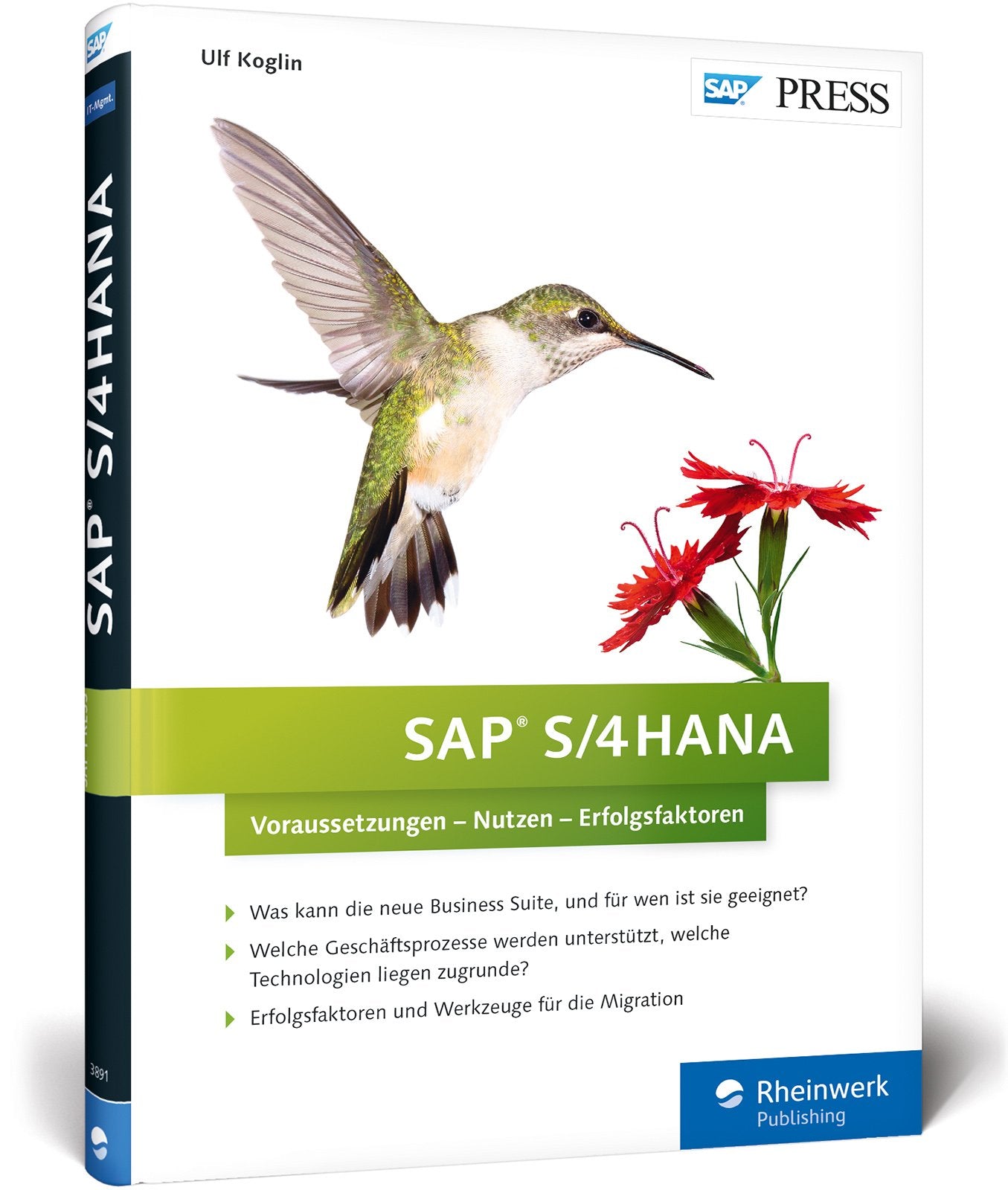 SAP S/4HANA: Voraussetzungen, Nutzen, Erfolgsfaktoren – Ausgabe 2016 (SAP PRESS) Computer Science