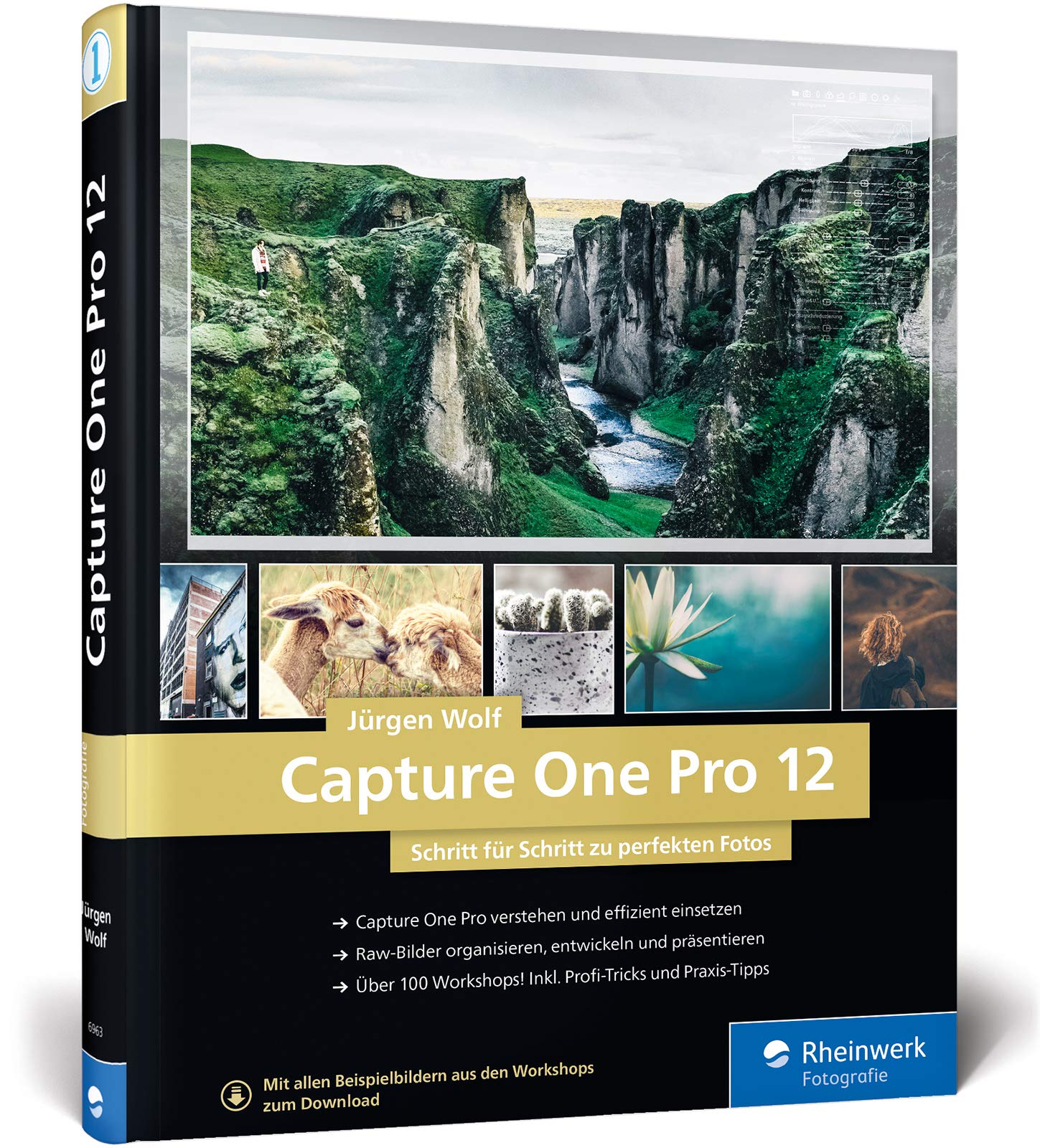 Capture One Pro 12 Computer Science