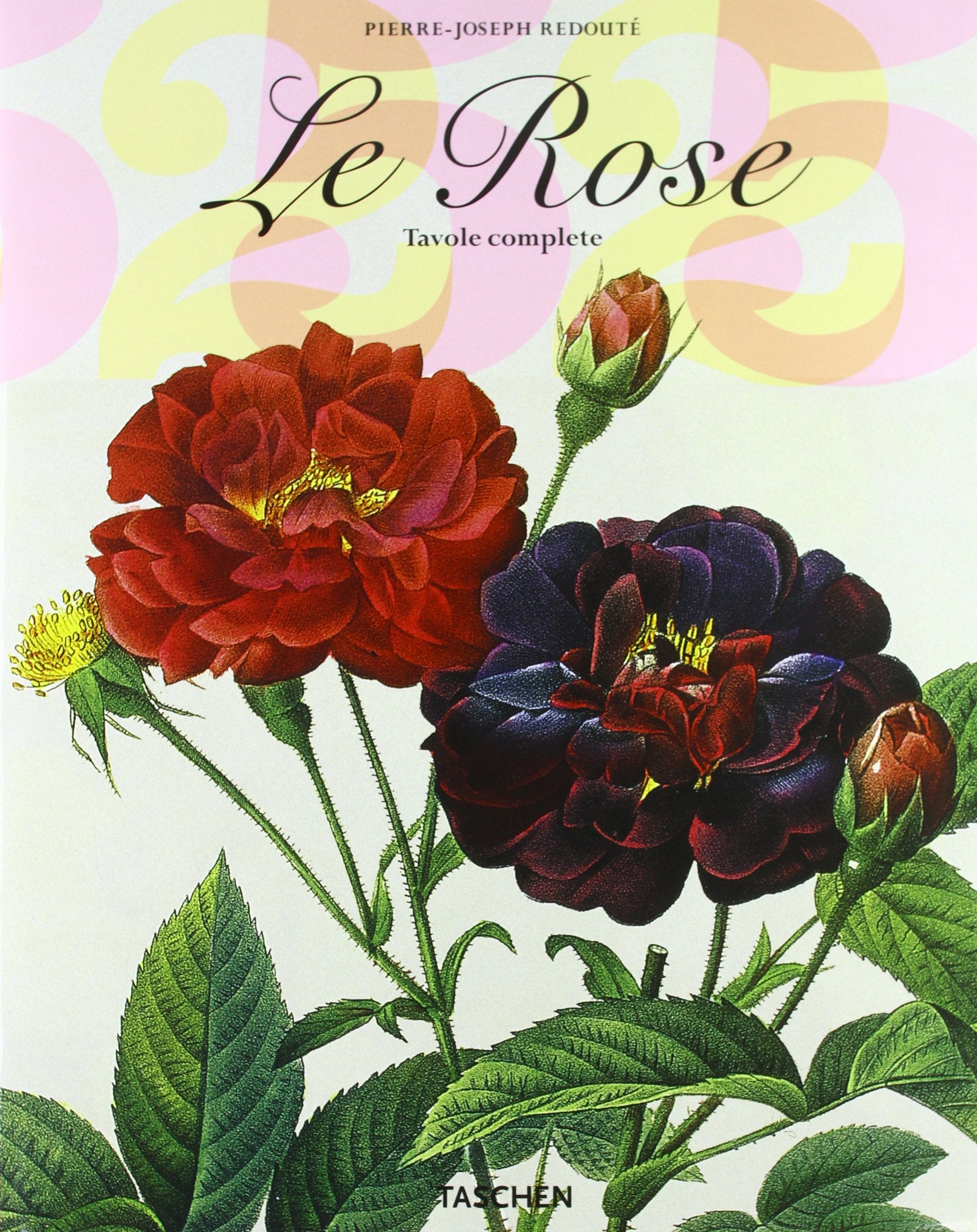 Roses. Ediz. italiana (Jumbo 25) Natural Sciences