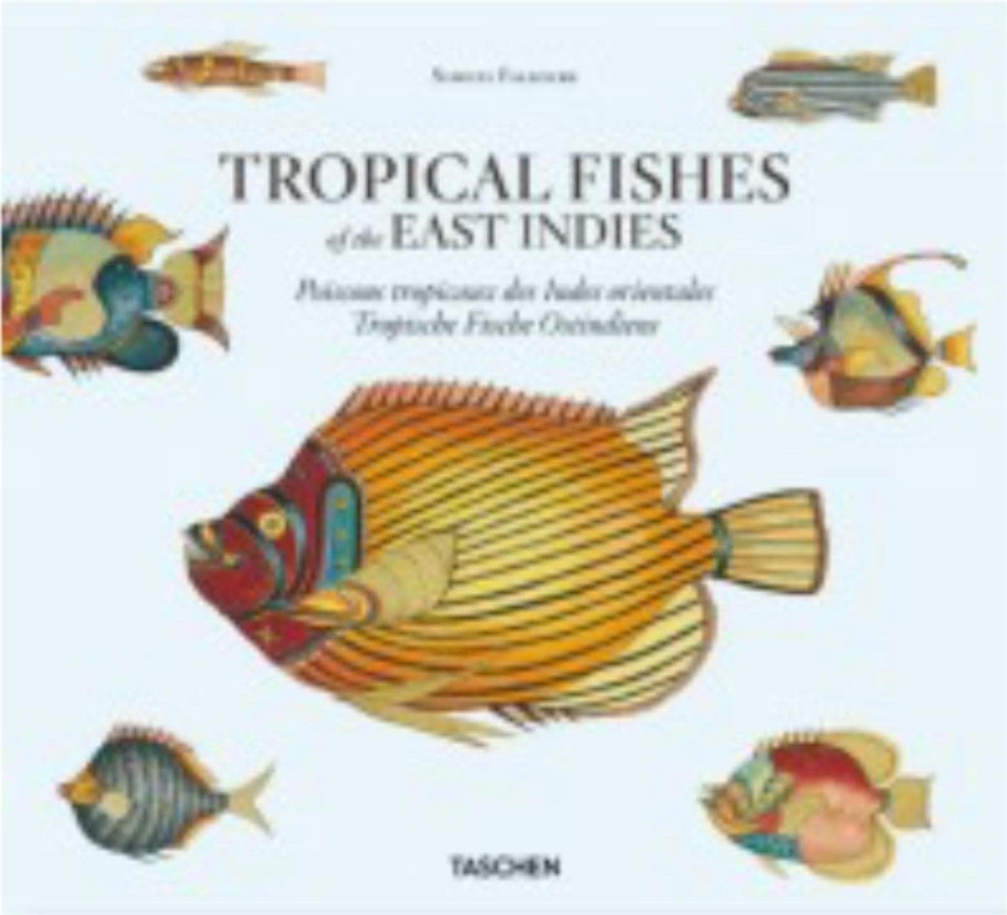 Samuel Fallours - Fische: Tropical Fishes of the East Indies Mathematics