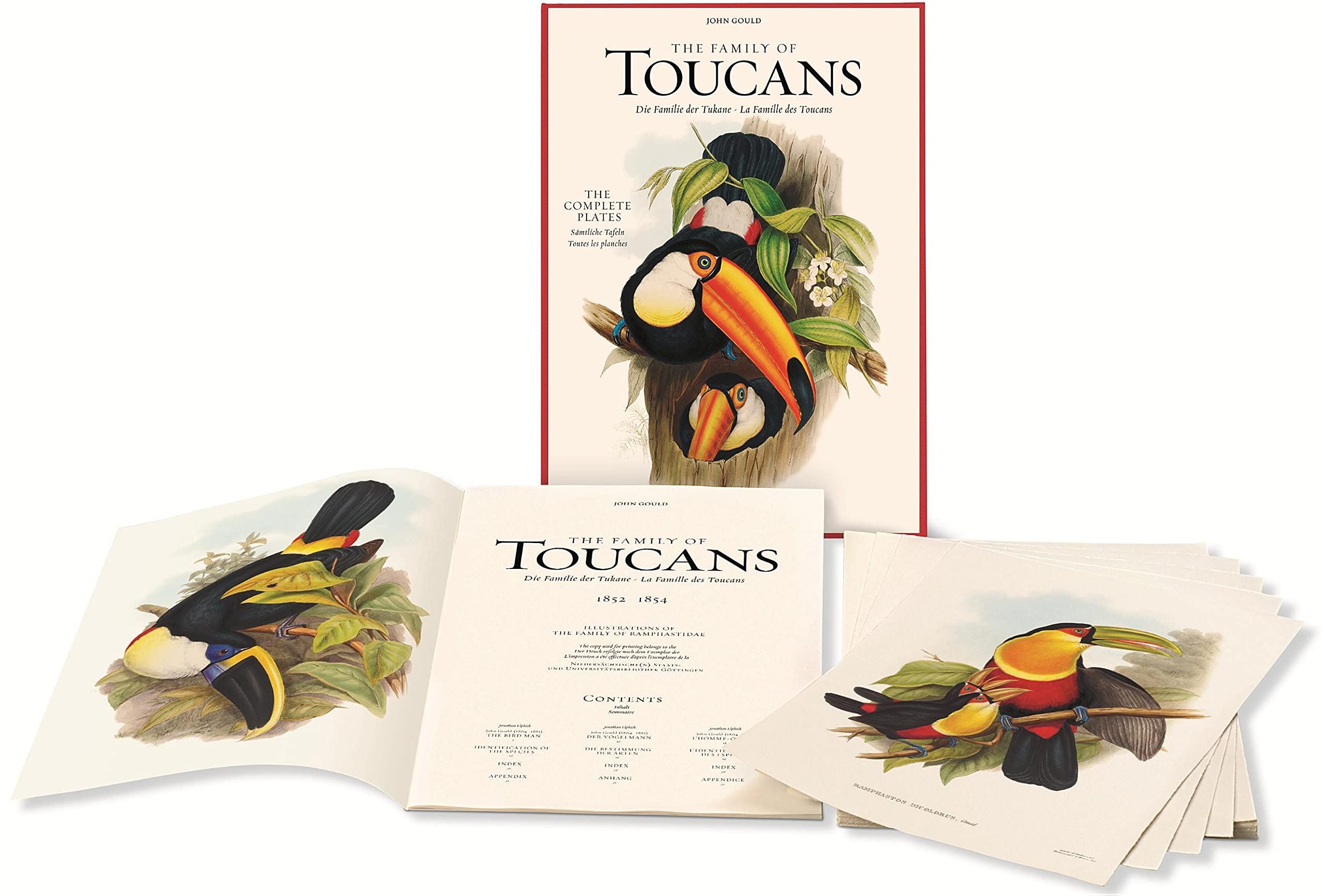 John Gould. The Family of Toucans: Die familie der Tukane - La Famille des Toucans, 1852 - 1854, The Complete Plates 53 (Extra large) Mathematics