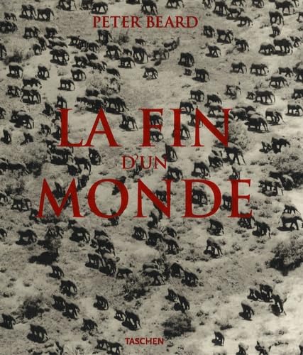 The End of the Game: The Last Word from Paradise: FO Mathematics