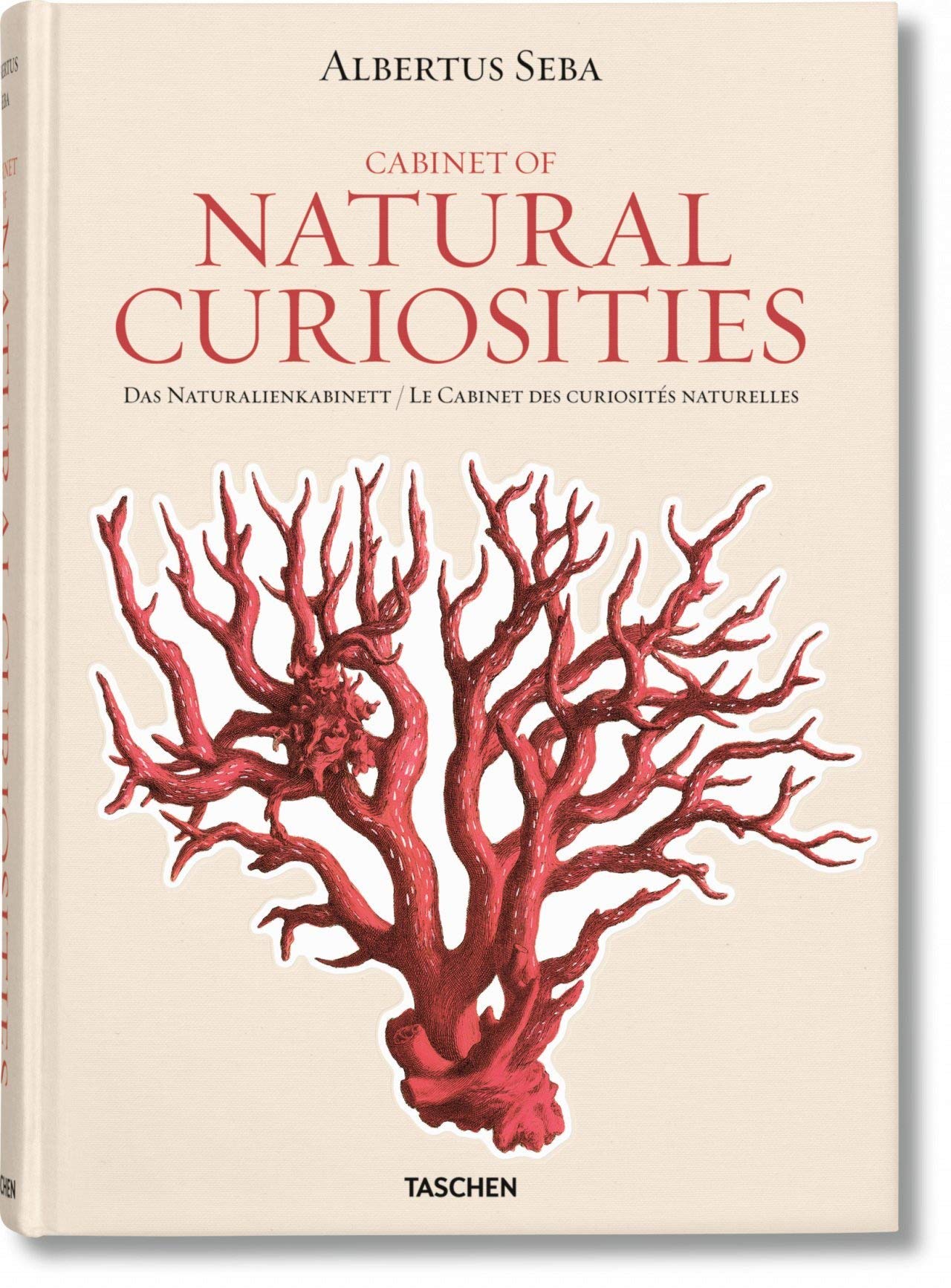 Seba. Cabinet of Natural Curiosities: JU (Jumbo 25) Film, Art & Culture