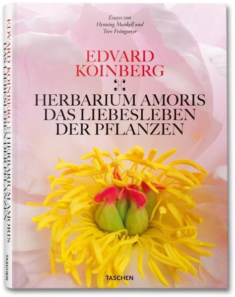 Koinberg - Herbarium Amoris Photography
