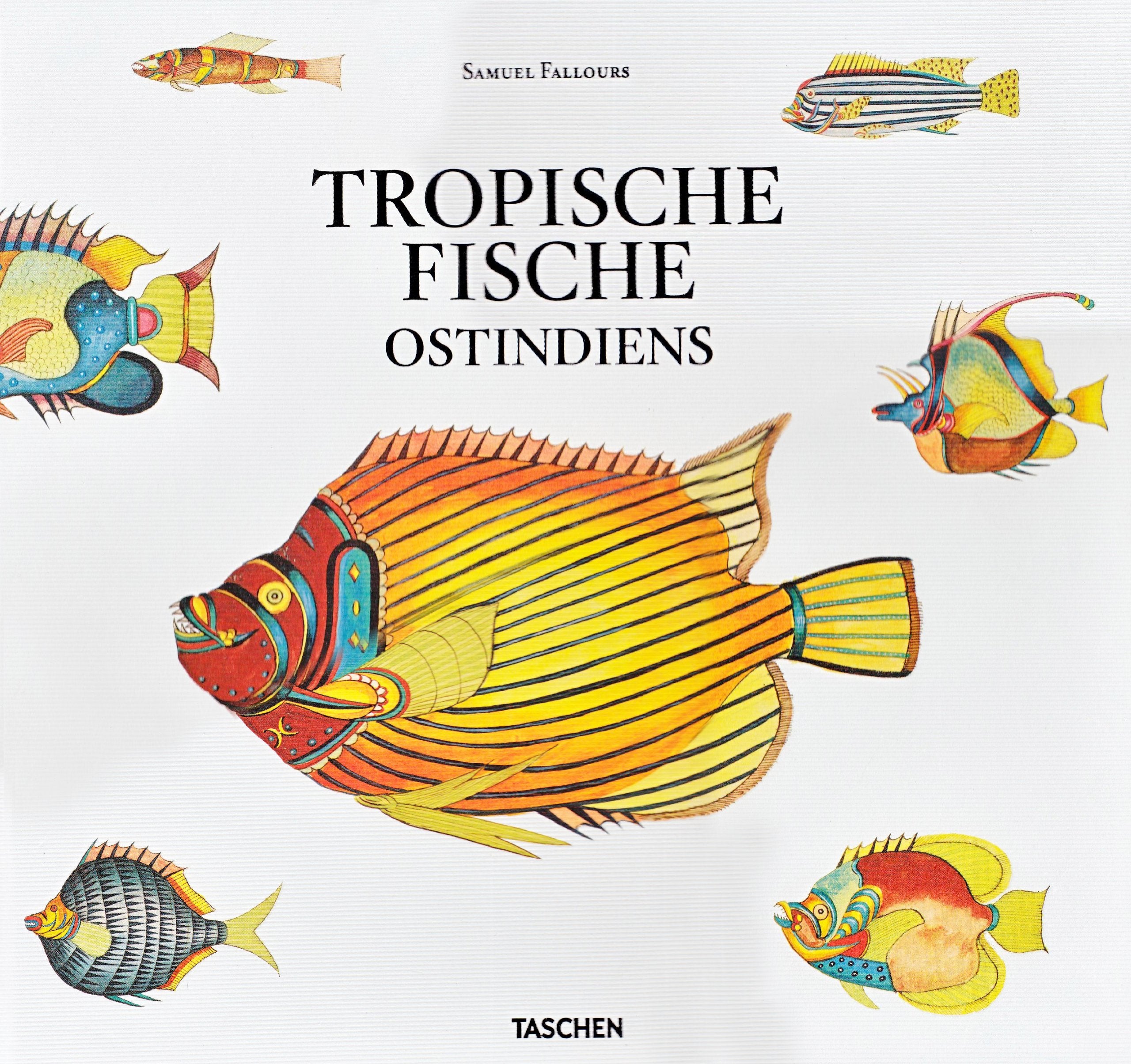Tropische Fische Ostindiens Film, Art & Culture