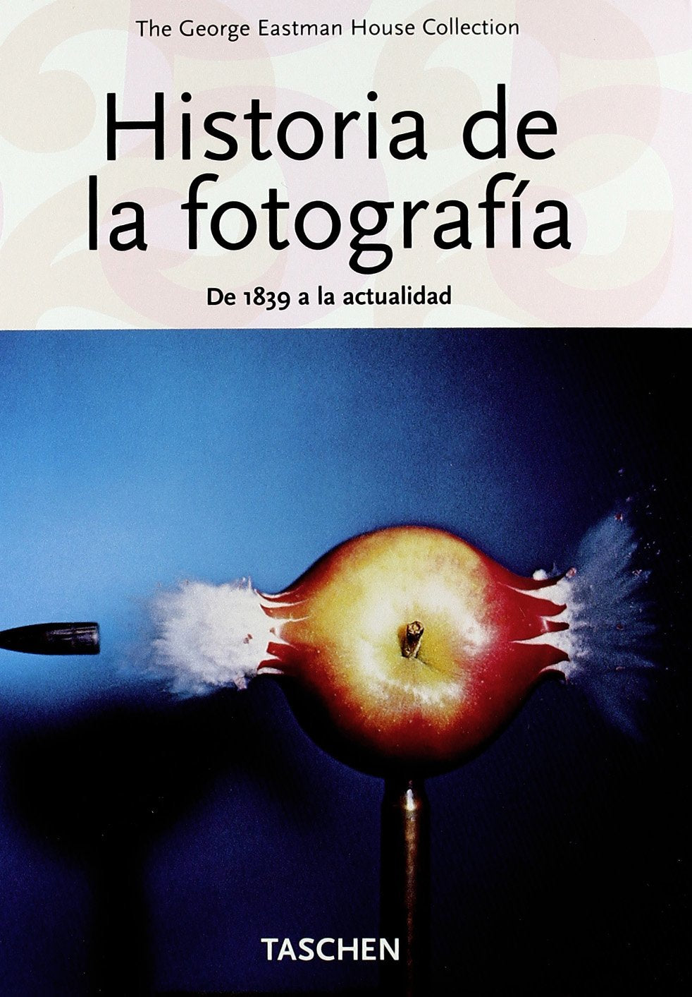 Historia de la fotografia book