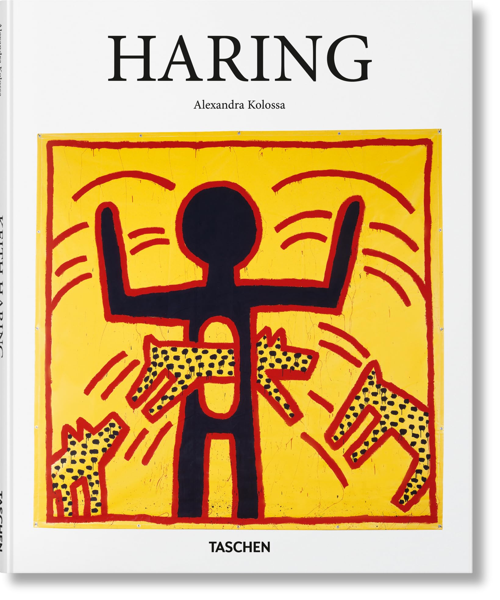 Haring: a life for art (Basic Art) Photography