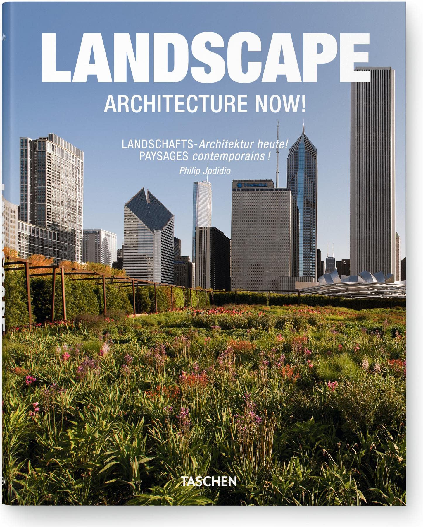Landscape Architecture Now!: Engl.-Dtsch.-Französ. Architecture