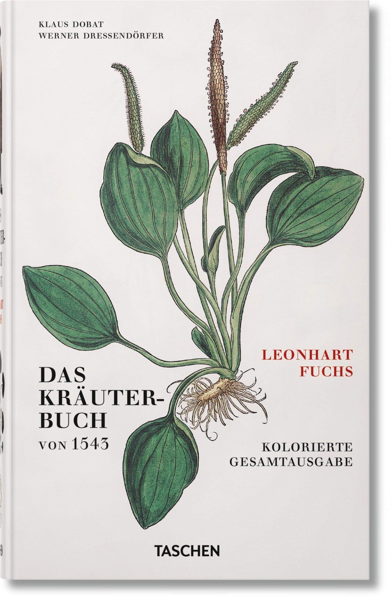 Leonhart Fuchs. Das Kräuterbuch von 1543 Film, Art & Culture
