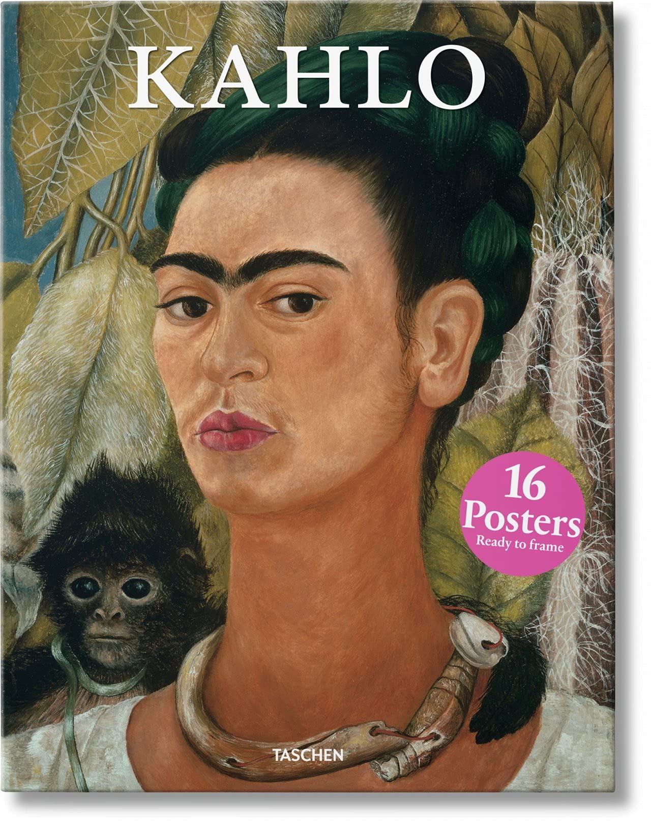 Kahlo. Poster Set: 16 verschiedene Poster in einer Box (Print Set) Media & Communication
