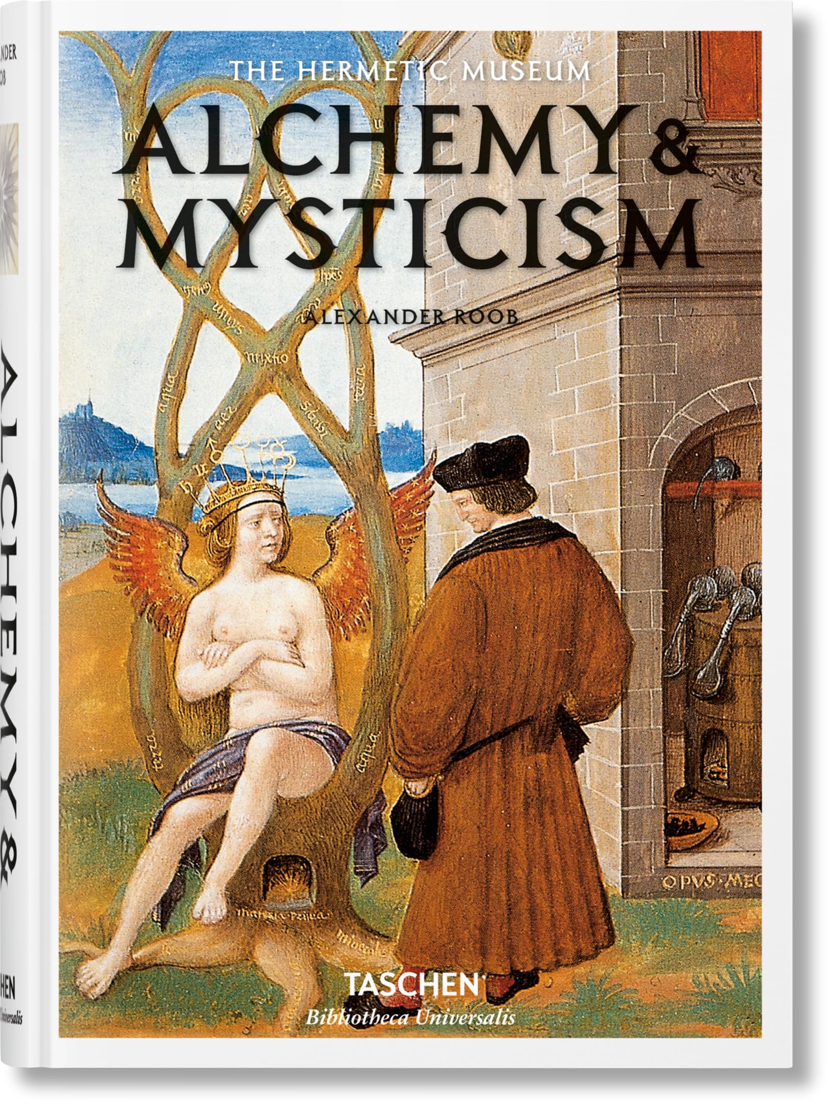 Alquimia & Misticismo (Bibliotheca Universalis) Politics & History