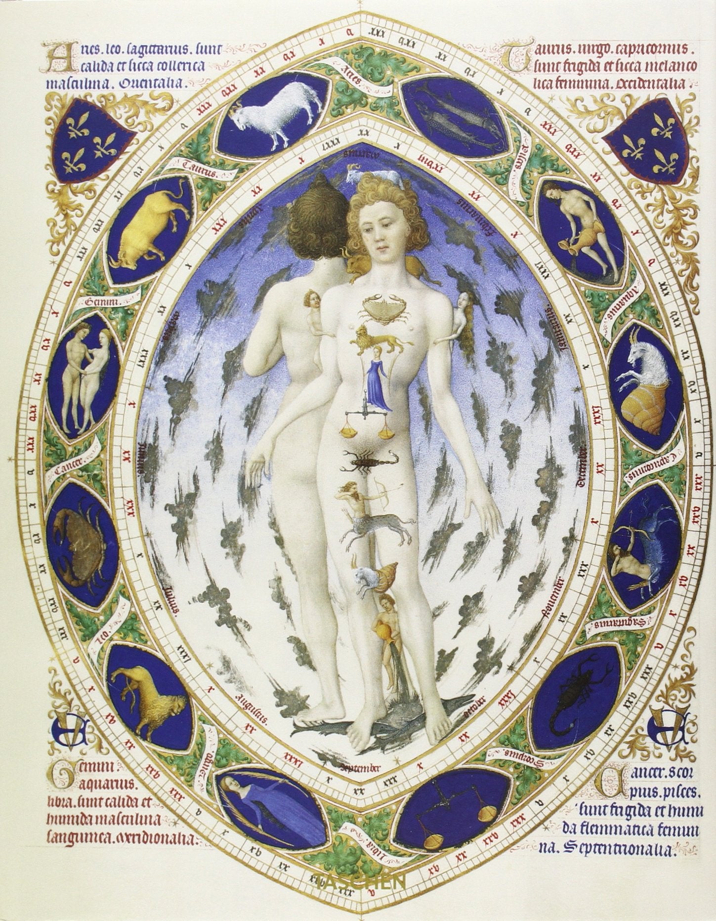 Co-codices illustres. los manuscritos mas bellos del mundo book