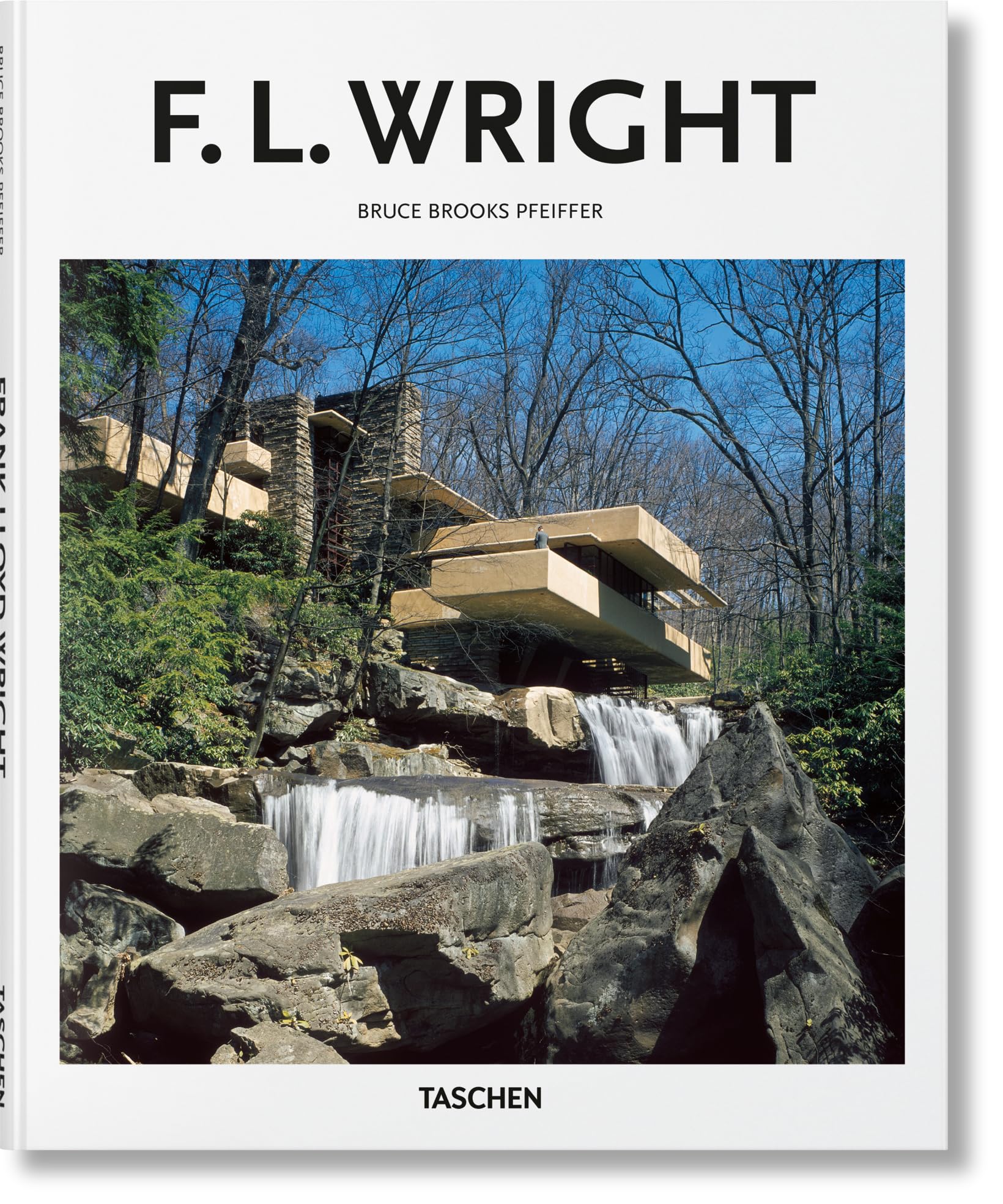 Wright Architecture Books