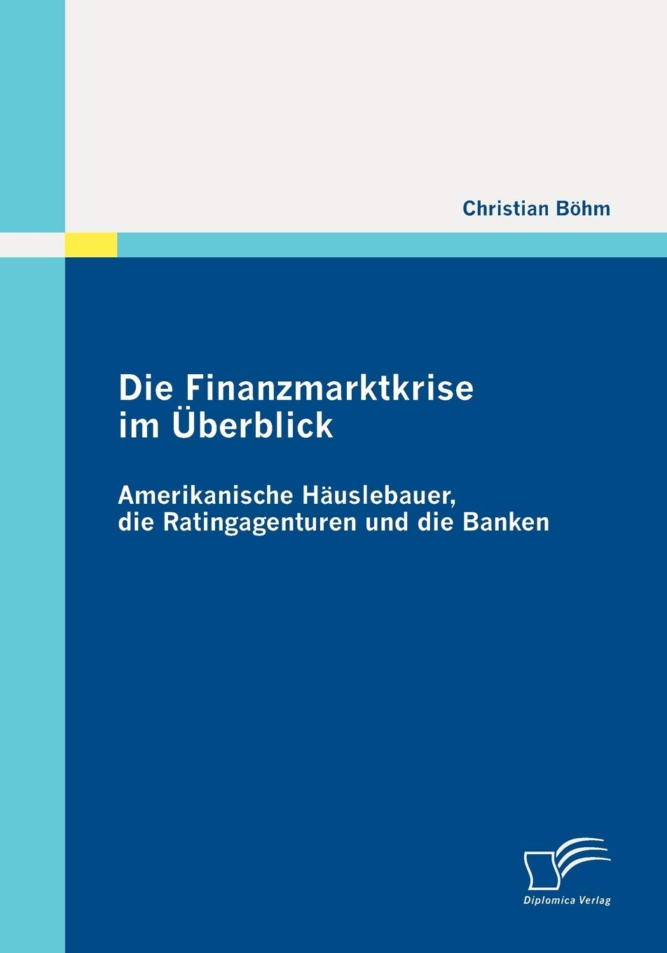 Die Finanzmarktkrise im Überblick: Amerikanische Häuslebauer, die Ratingagenturen und die Banken book