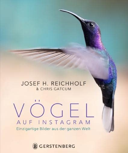 Vögel auf Instagram: Einzigartige Bilder aus der ganzen Welt Photography
