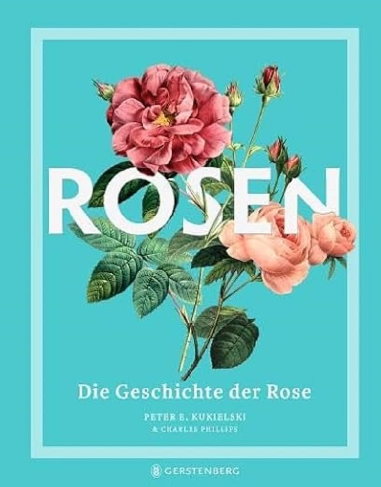 Rosen Film, Art & Culture