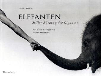 Elefanten: Stiller Rückzug der Giganten Business & Technology