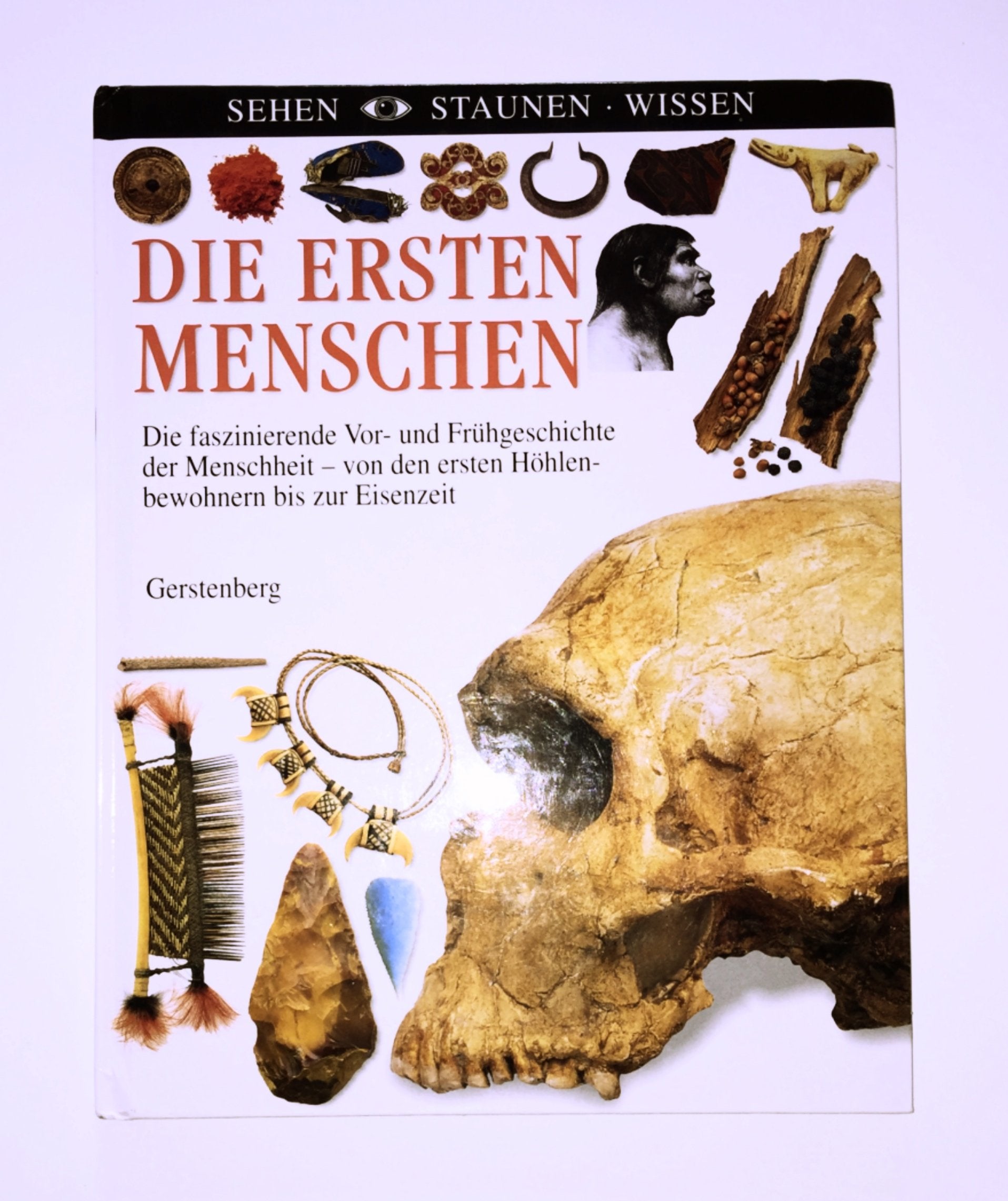 Die ersten Menschen: Die faszinierende Vor- und Frühgeschichte der Menschheit von den ersten Höhlenbewohnern bis zur Eisenzeit Non-fiction