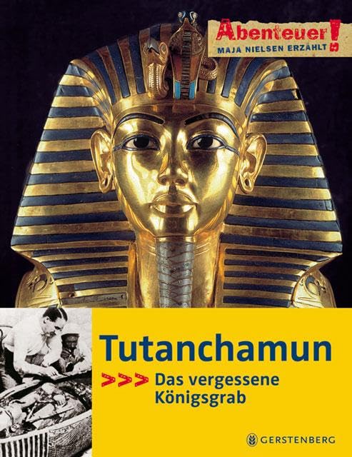 Tutanchamun Politics & History books