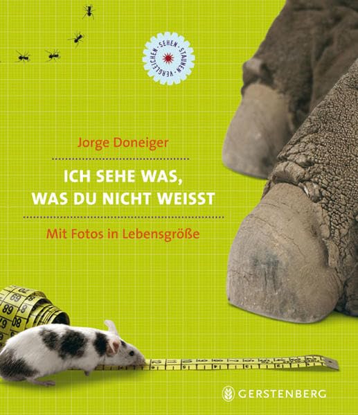 Ich sehe was, was du nicht weißt: Sehen - Staunen - Vergleichen Non-fiction