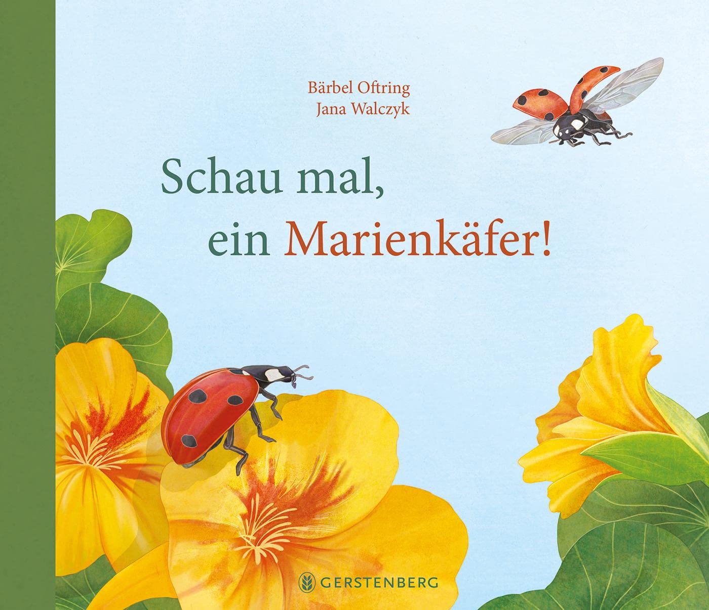 Schau mal, ein Marienkäfer! Business & Technology